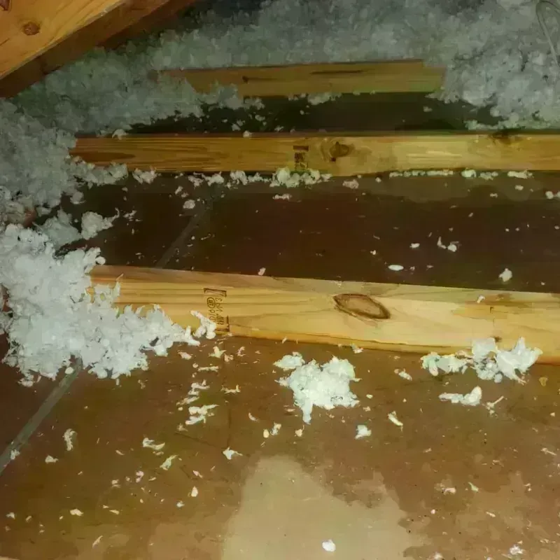 Attic Water Damage in Roland, OK