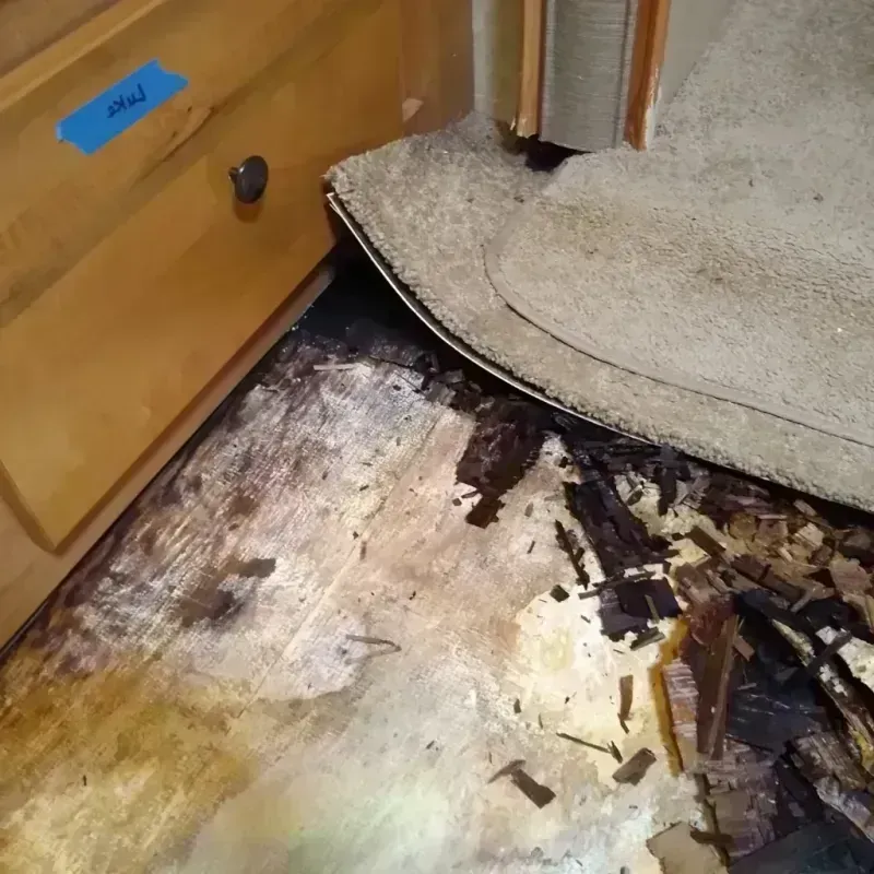 Wood Floor Water Damage in Roland, OK